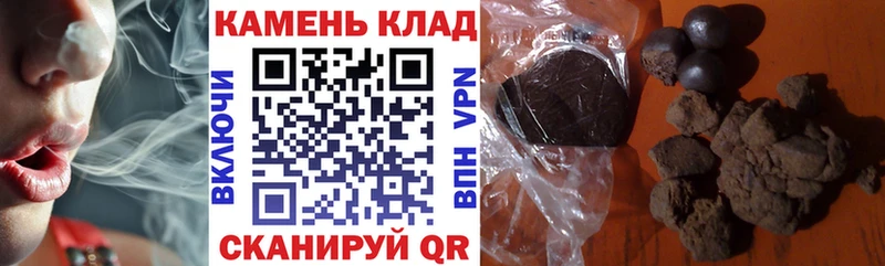 ГАШ ice o lator  Купить  Оса 